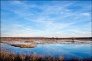 Bosque del Apache Photo 04